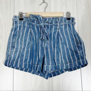 American Eagle | High Rise Blue / White Striped Tie Waist Shorts Size 6